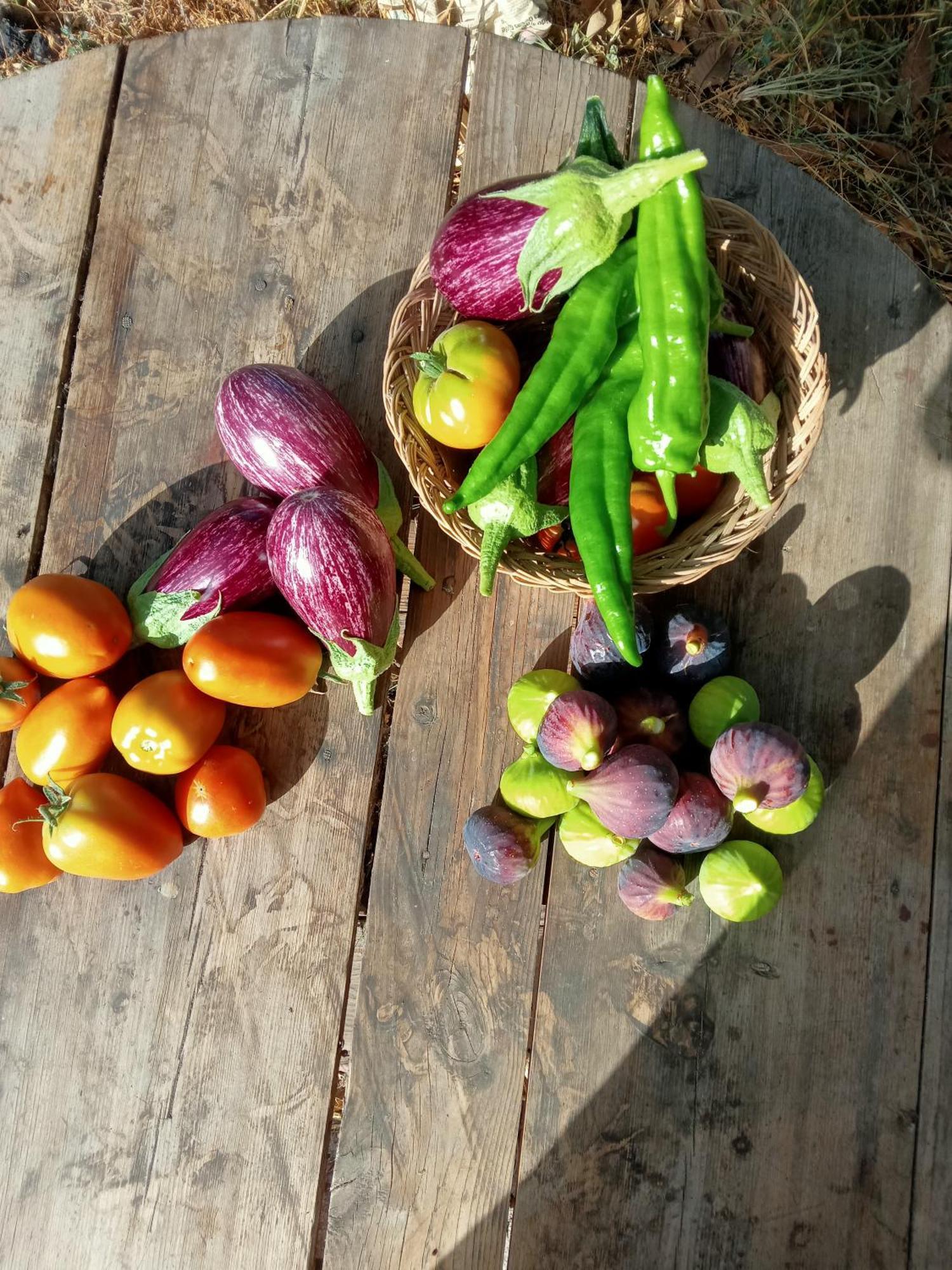 Tuguest Hortichuela House Βίλα Ugijar Εξωτερικό φωτογραφία
