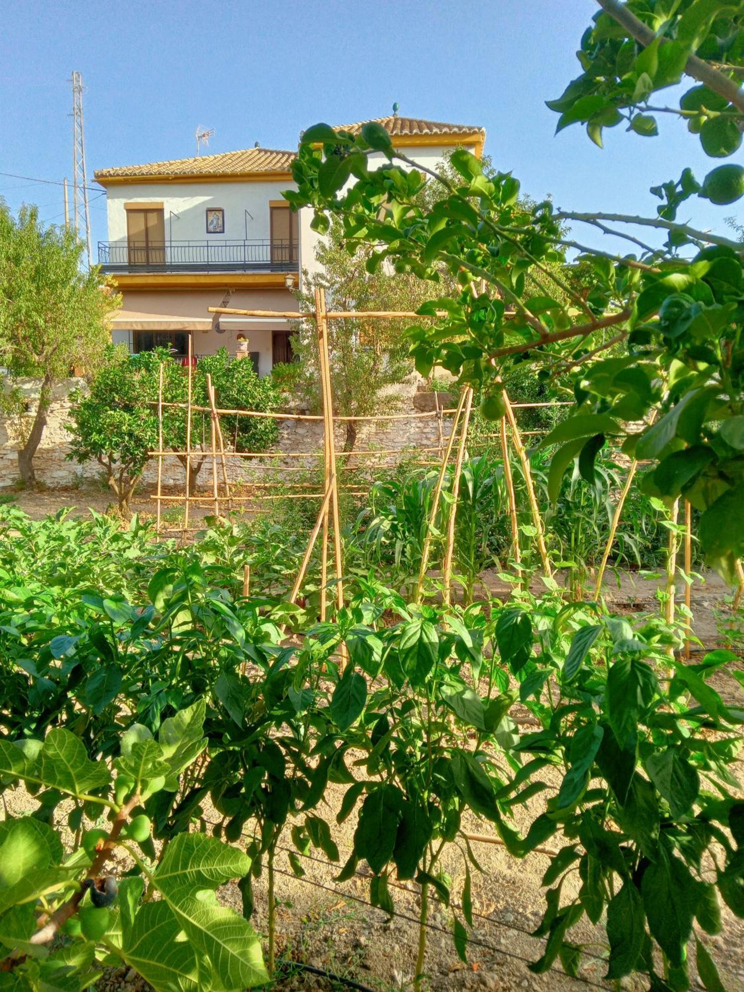 Tuguest Hortichuela House Βίλα Ugijar Εξωτερικό φωτογραφία