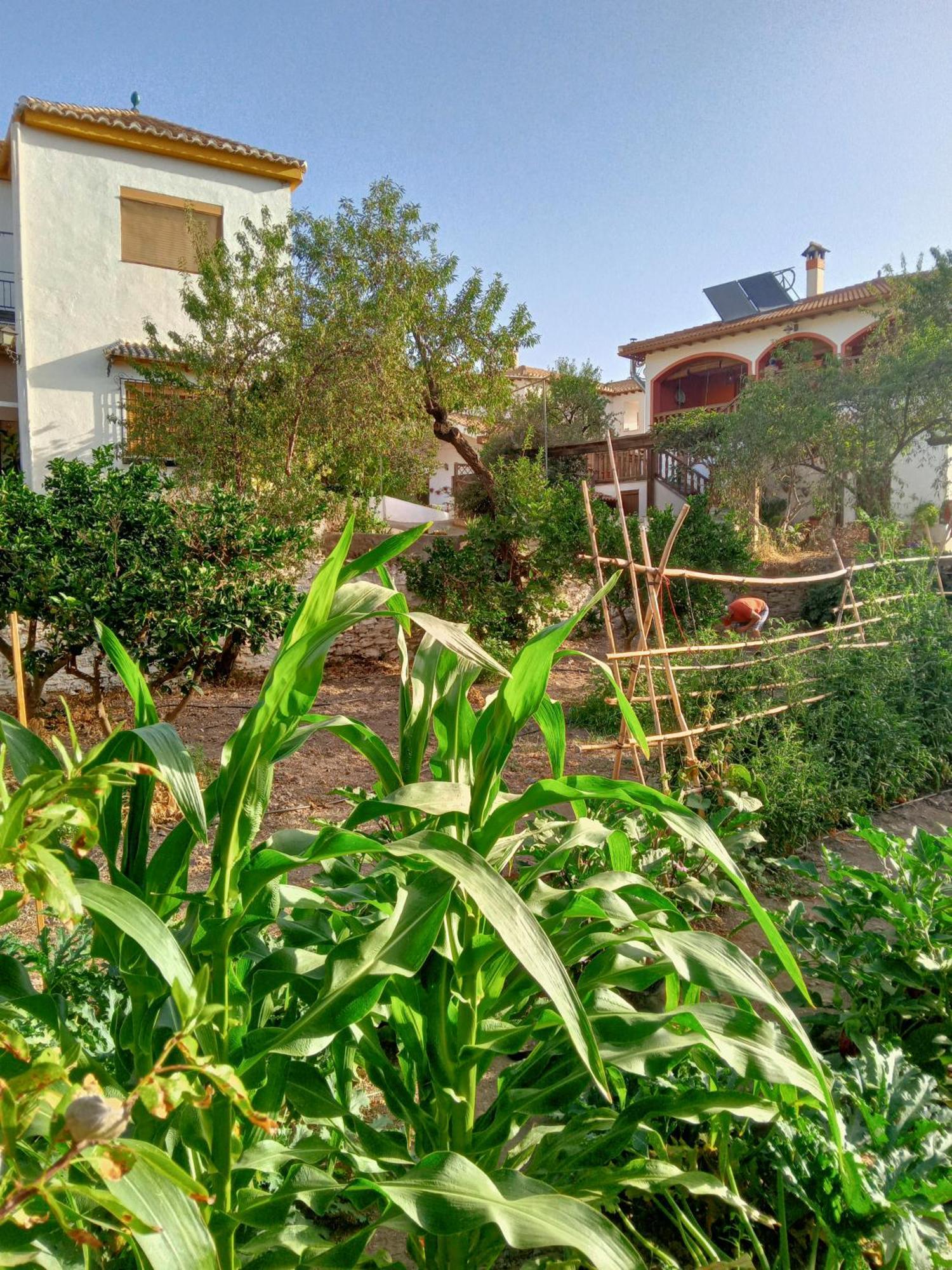 Tuguest Hortichuela House Βίλα Ugijar Εξωτερικό φωτογραφία
